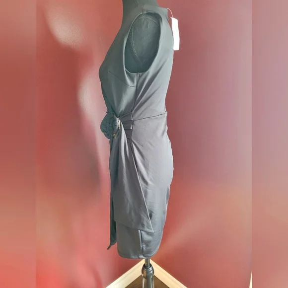 NWT Dress, gorgeous waist detail. - Picture 3 of 13